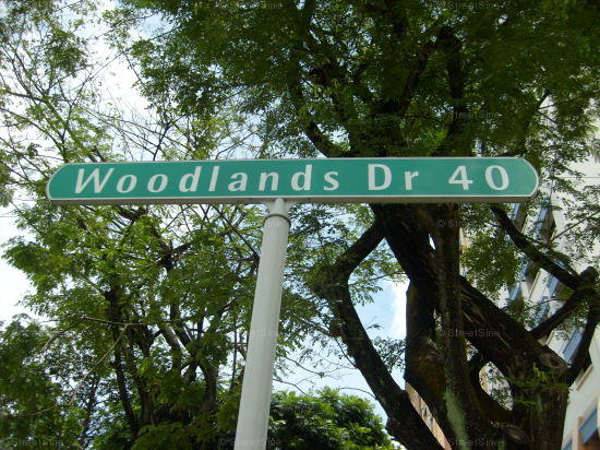 Woodlands Drive 40 #71912